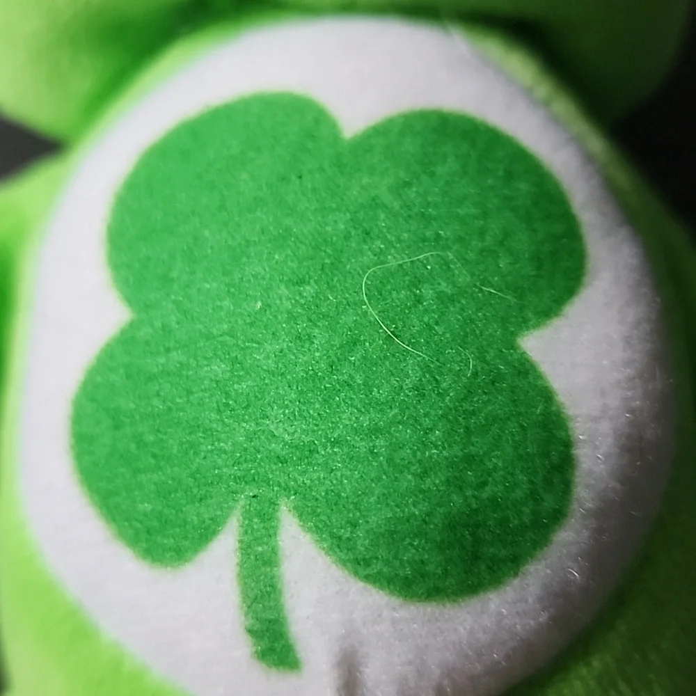 2021 Good Luck Care Bear Green Plush Bear‎ Toy